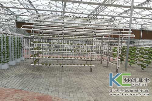 無土栽培技術,基質(zhì)栽培,水培