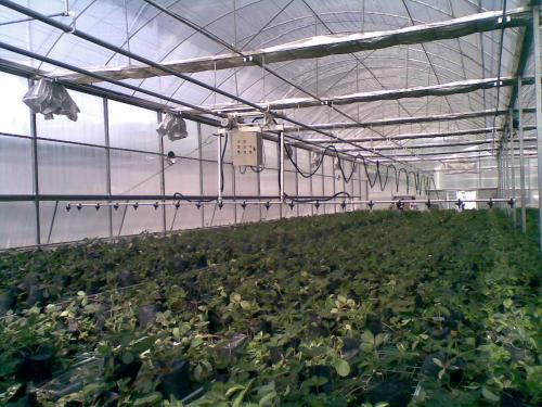 無土栽培，無土栽培技術，無土栽培設備