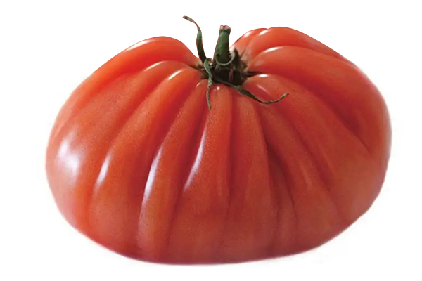 無土栽培，無土栽培技術，無土栽培設備