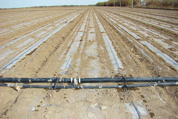 無土栽培，無土栽培技術(shù)，無土栽培設(shè)備