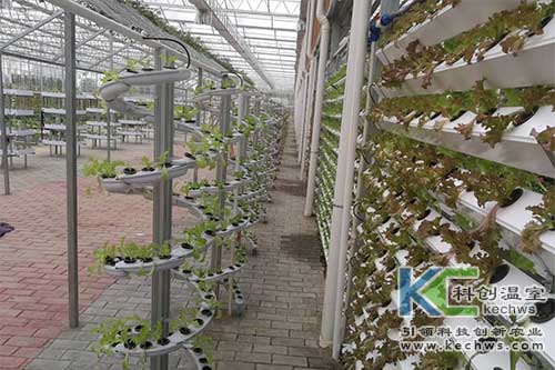 無土栽培技術,基質(zhì)栽培,水培