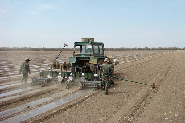 無土栽培，無土栽培技術(shù)，無土栽培設(shè)備