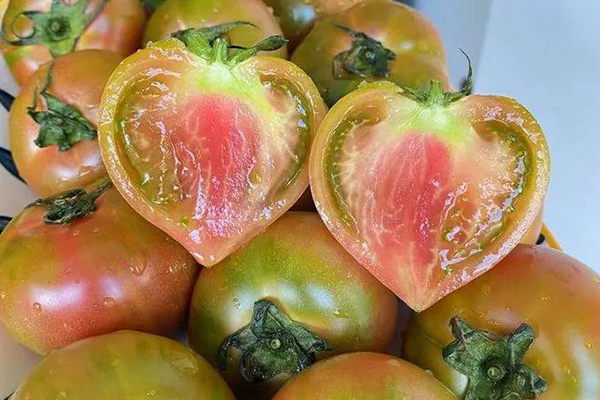 無土栽培，無土栽培技術，無土栽培設備