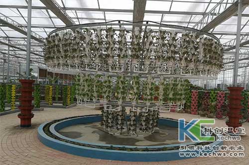 無土栽培技術,基質(zhì)栽培,水培