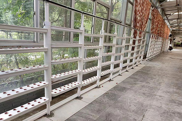 無土栽培，無土栽培技術(shù)，無土栽培設備