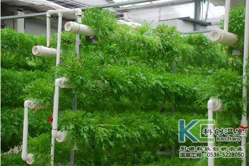 無土栽培，無土栽培技術(shù)，無土栽培設(shè)備