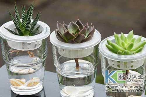 無土栽培，無土栽培技術(shù)，無土栽培設(shè)備