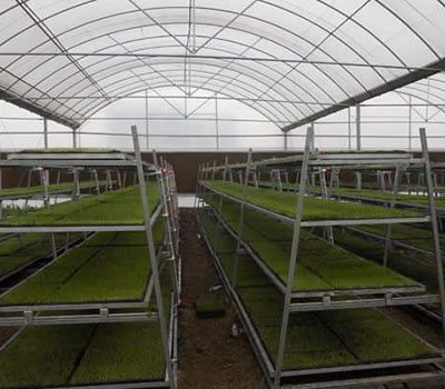 無土栽培，無土栽培技術(shù)，無土栽培設(shè)備