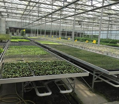 無土栽培，無土栽培技術(shù)，無土栽培設(shè)備