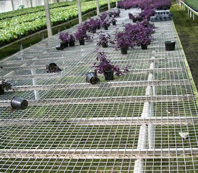 無土栽培，無土栽培技術，無土栽培設備