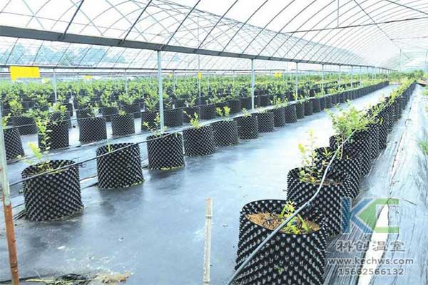 無土栽培，無土栽培技術，無土栽培設備