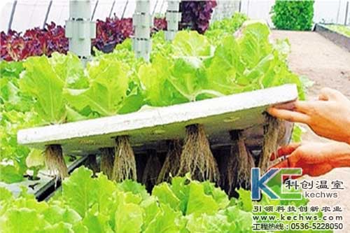 無(wú)土栽培，無(wú)土栽培技術(shù)，無(wú)土栽培設(shè)備