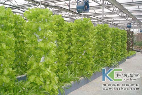 無土栽培，無土栽培技術(shù)，無土栽培設(shè)備