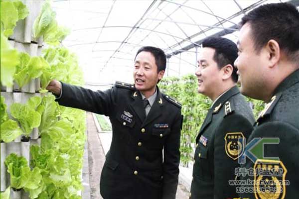 無土栽培，無土栽培技術，無土栽培設備