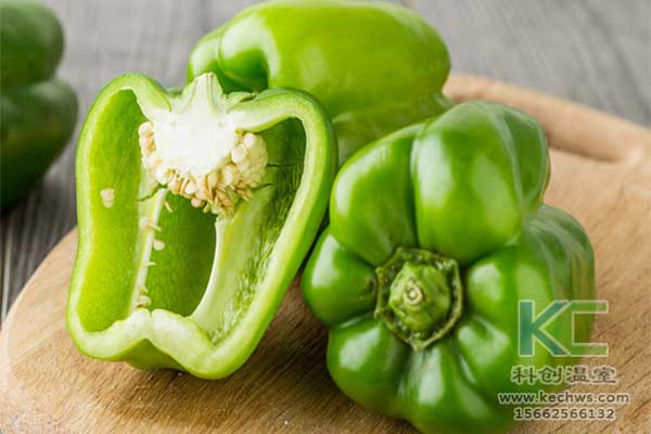 無土栽培，無土栽培技術(shù)