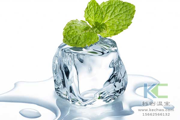 無土栽培，無土栽培技術，無土栽培設備