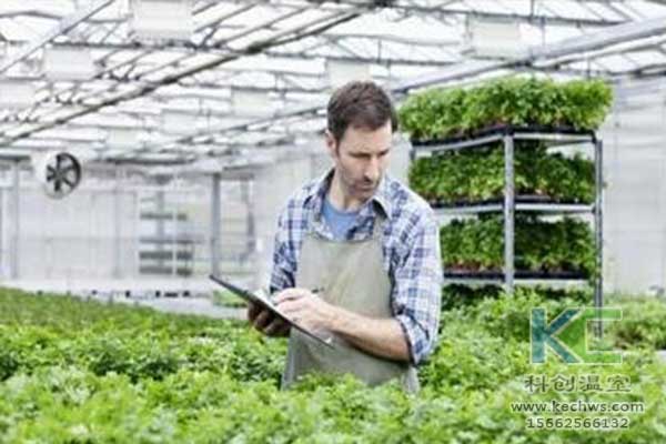 無土栽培，無土栽培技術，無土栽培設備