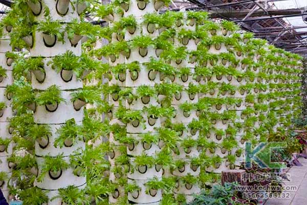 無土栽培，無土栽培技術，無土栽培設備