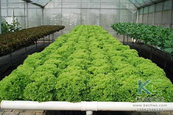 無土栽培，無土栽培技術，無土栽培設備