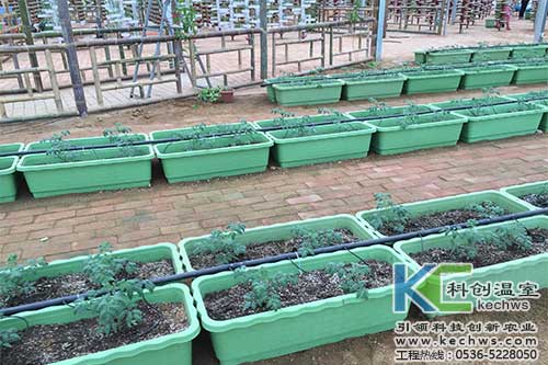 基質(zhì)栽培，無(wú)土栽培