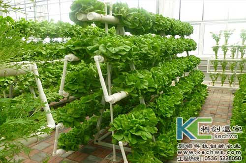 無土栽培，無土栽培技術，無土栽培設備
