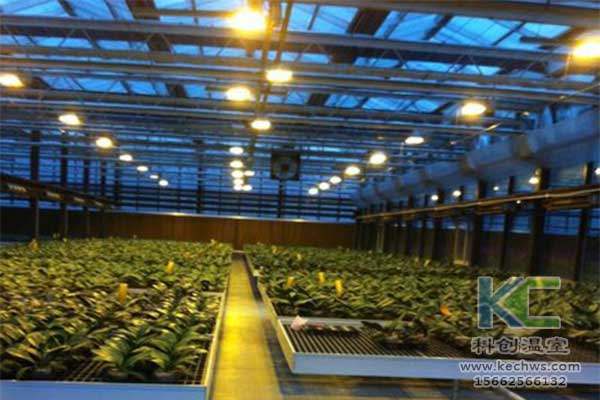 無(wú)土栽培，無(wú)土栽培技術(shù)，無(wú)土栽培設(shè)備