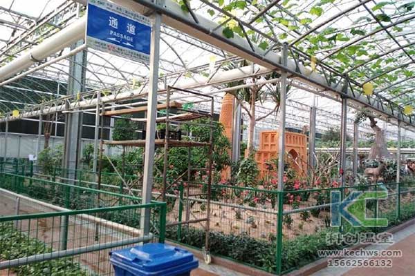 無土栽培，無土栽培技術(shù)，無土栽培設(shè)備