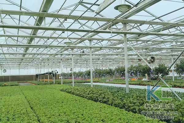 無土栽培，無土栽培技術(shù)，無土栽培設(shè)備