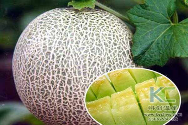 無土栽培，無土栽培技術，無土栽培設備