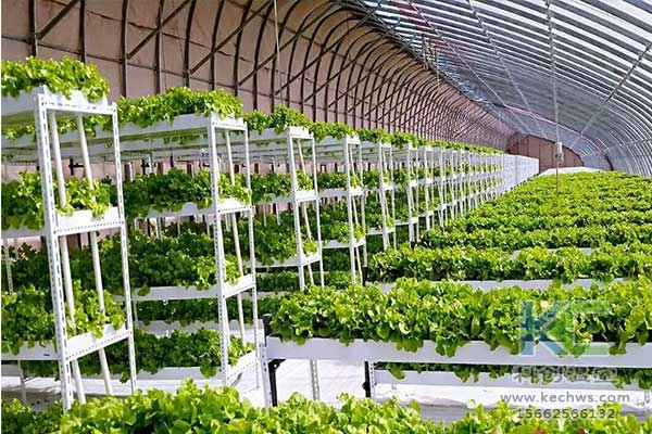 無土栽培，無土栽培技術，無土栽培設備