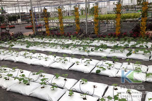 無土栽培，無土栽培技術，無土栽培設備