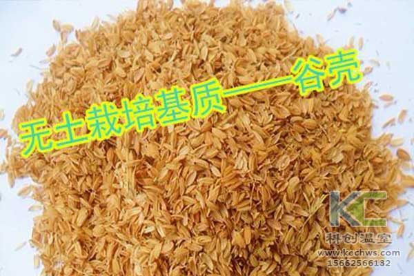 無土栽培，無土栽培技術，無土栽培設備