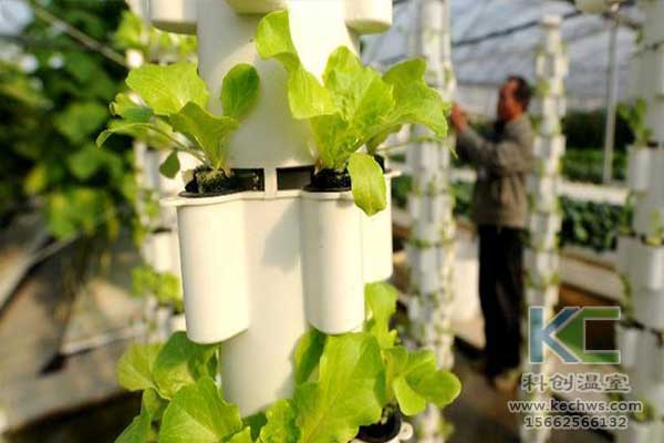 無土栽培，無土栽培技術，無土栽培設備