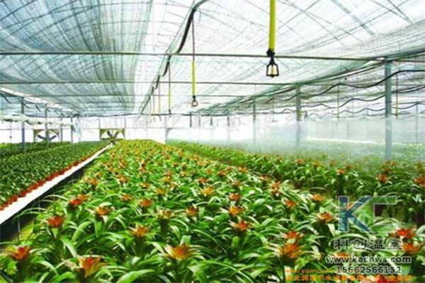 無(wú)土栽培，無(wú)土栽培技術(shù)，無(wú)土栽培設(shè)備