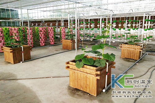 無土栽培,基質栽培,水培