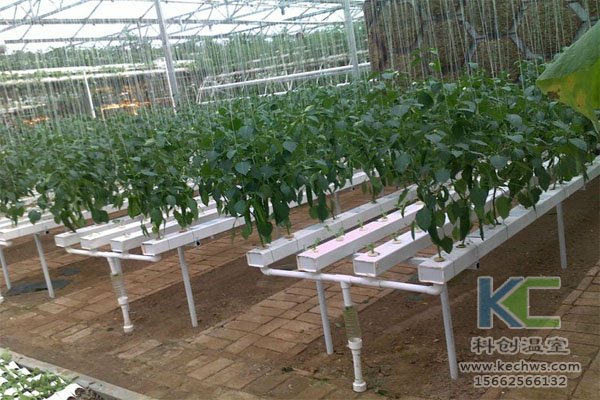 無土栽培，無土栽培技術，無土栽培設備