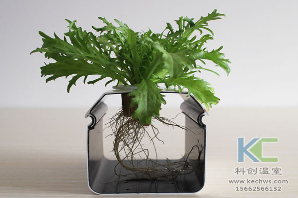 智能溫室無(wú)土栽培,無(wú)土栽培技術(shù),溫室大棚,無(wú)土栽培