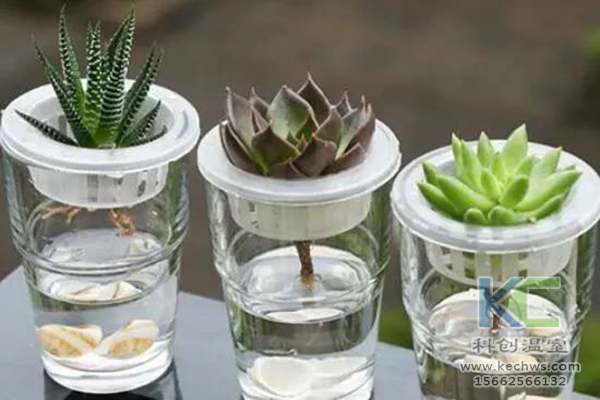 無土栽培，無土栽培技術，無土栽培設備