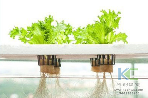 無土栽培技術，無土栽培設備，無土栽培，溫室大棚