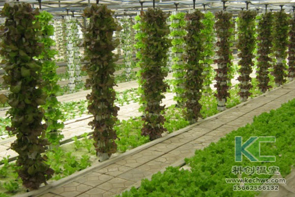 蔬菜大棚無土栽培，無土栽培技術(shù)，溫室大棚，大棚