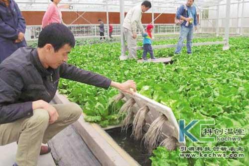 無土栽培，無土栽培技術，無土栽培設備