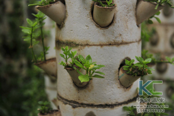 無土栽培，無土栽培技術，無土栽培設備