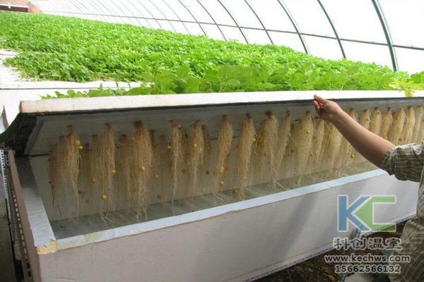 無土栽培，設備，無土栽培設備，設施