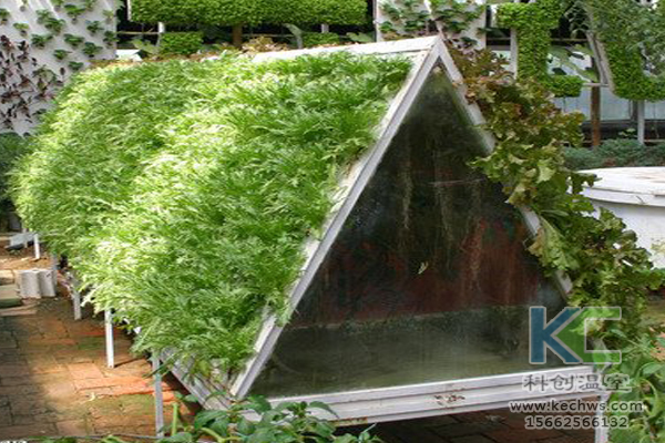 無土栽培技術(shù)，基質(zhì)栽培，水培，溫室大棚