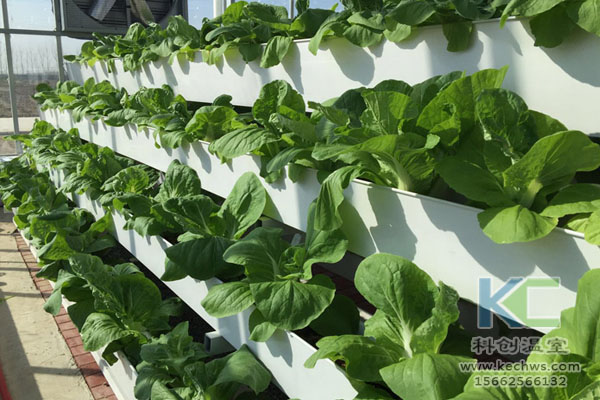 無土栽培，無土栽培技術，無土栽培設備