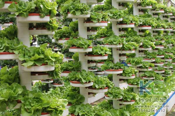 無土栽培技術，無土栽培設備，無土栽培，溫室大棚