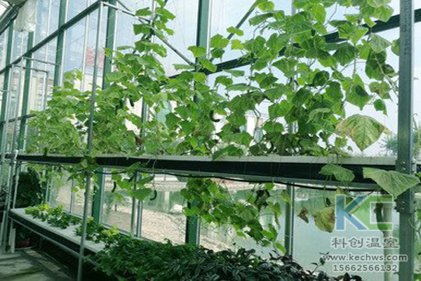 基質(zhì)栽培，無土栽培技術(shù)，無土栽培設(shè)備，溫室大棚