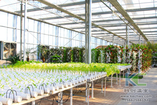 無土栽培，設備，無土栽培設備，設施