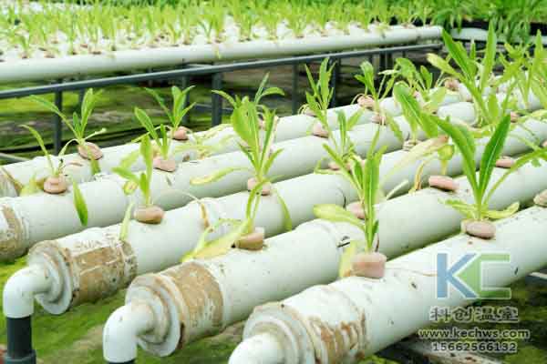 無土栽培技術，蔬菜大棚建設，溫室大棚，無土栽培