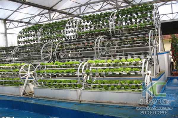 無土栽培技術(shù)，溫室大棚造價，蔬菜大棚，無土栽培
